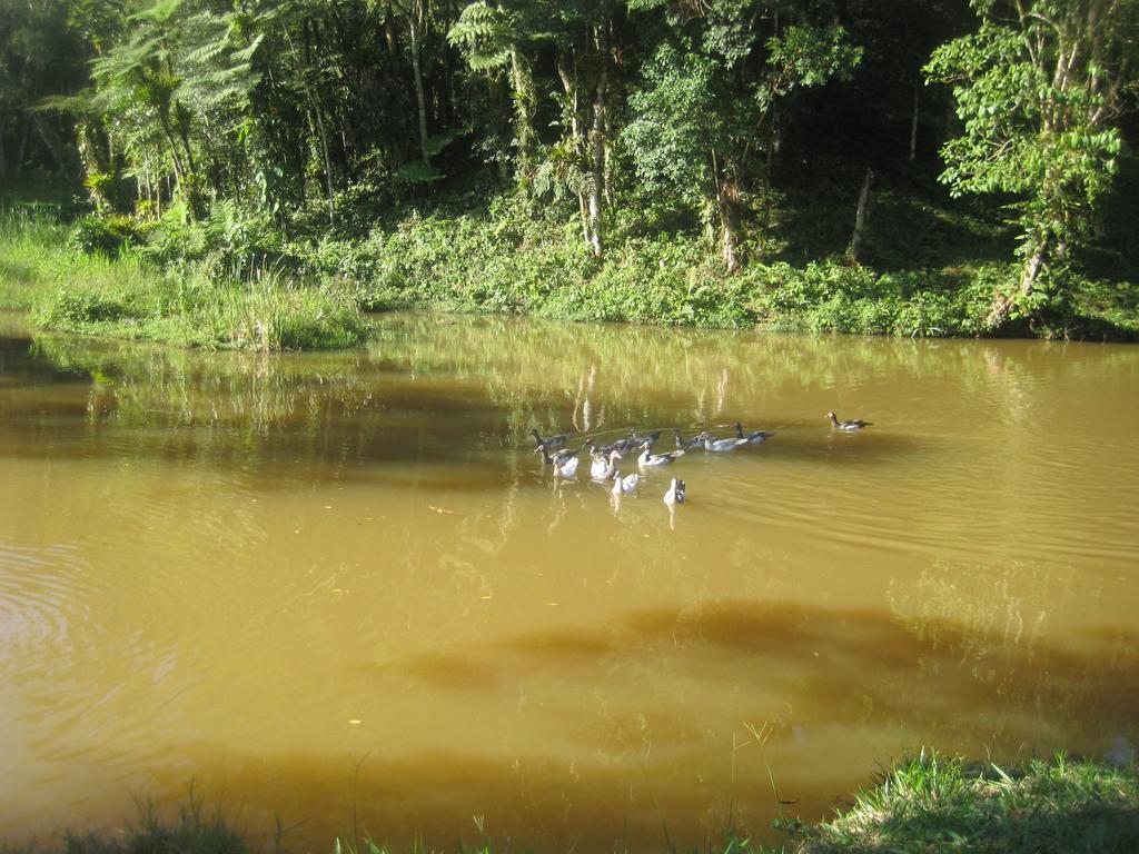 Pousada Recanto Dos Pinheiros Pilar do Sul Exteriör bild