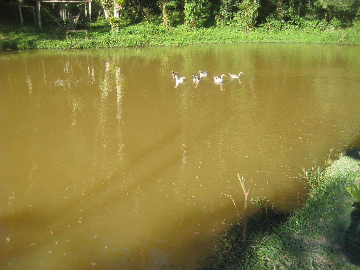 Pousada Recanto Dos Pinheiros Pilar do Sul Exteriör bild