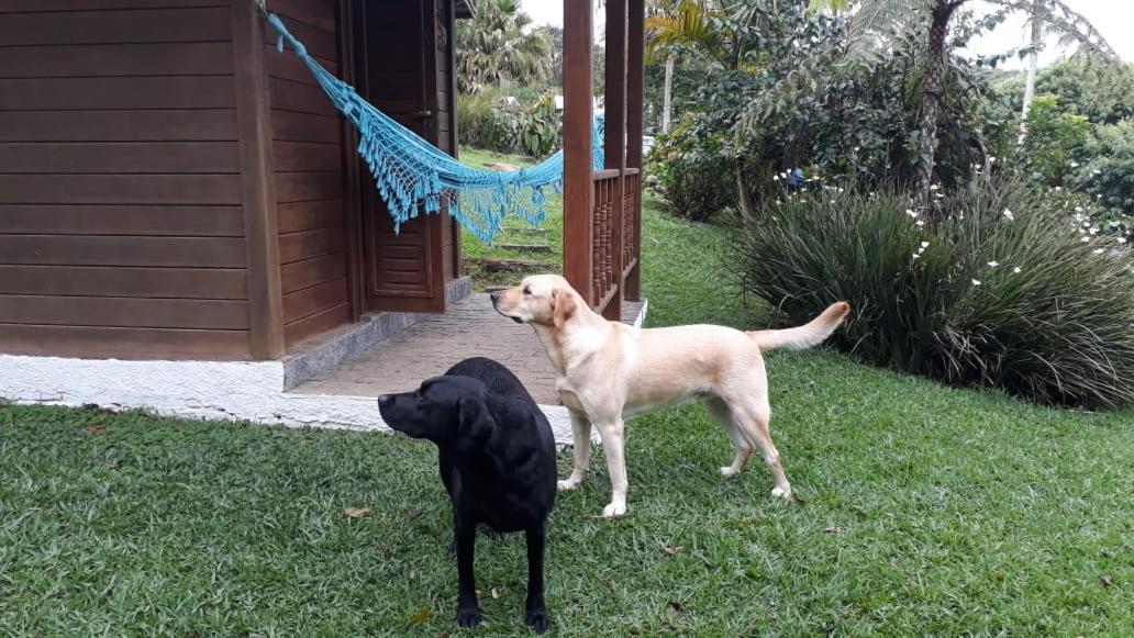 Pousada Recanto Dos Pinheiros Pilar do Sul Exteriör bild